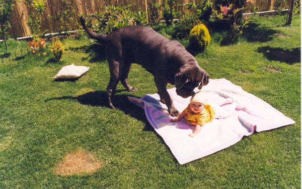 baby&dog