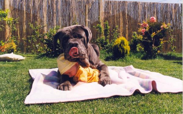 dog&babyhug