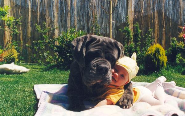 dog&babypicture