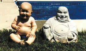 BabyBuddha